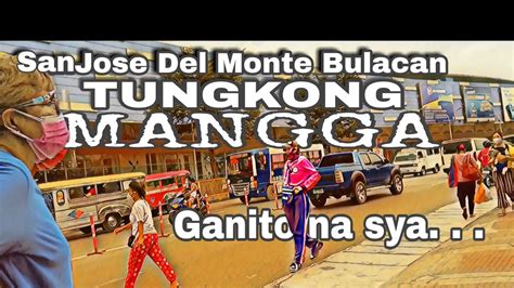 Tungkong Mangga, San Jose del Monte City, Bulacan, Central .